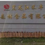 黑龙江禾丰大森林食品有限公司被曝售卖大量病死鸡被侦办